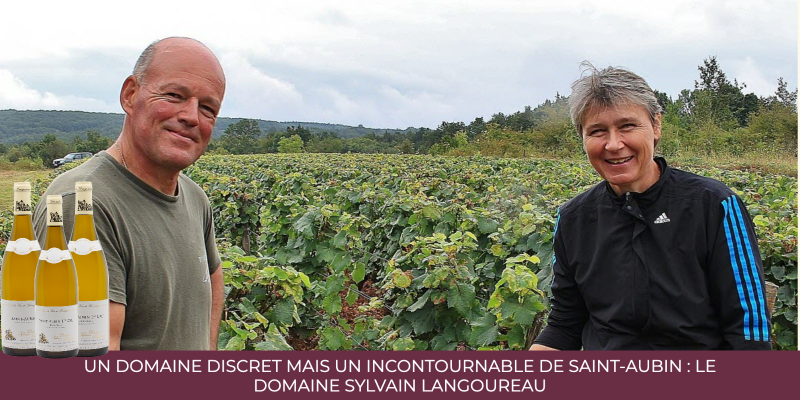 Un domaine discret mais un incontournable de Saint-Aubin : le domaine Sylvain Langoureau